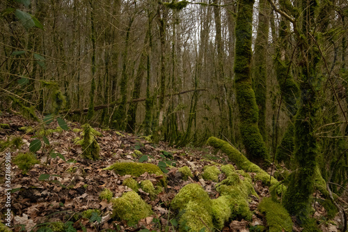 Waadt Tine de Conflens