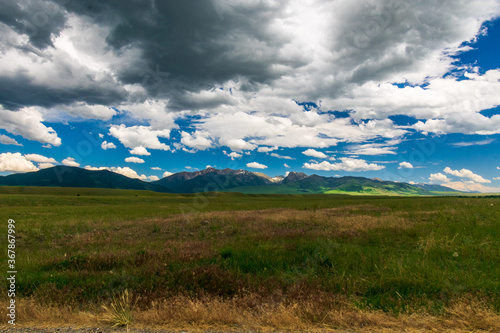 Mountains in Custer Gallatin National Forest