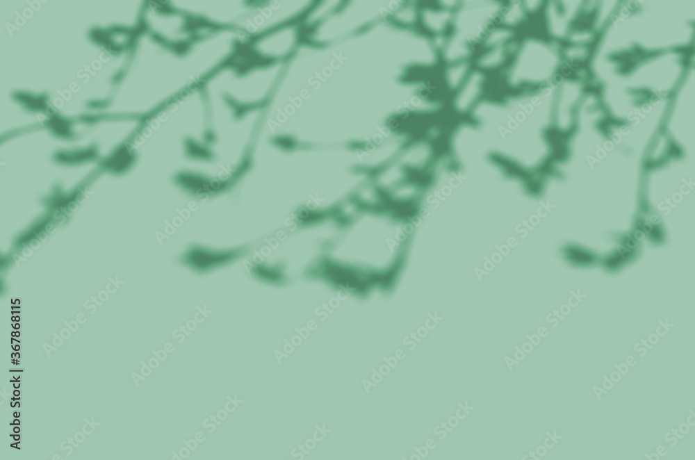 Summer background of shadows branch leaves on a wall for overlaying a photo or mockup Summer background of shadows branch leaves on a wall for overlaying a photo or mockup