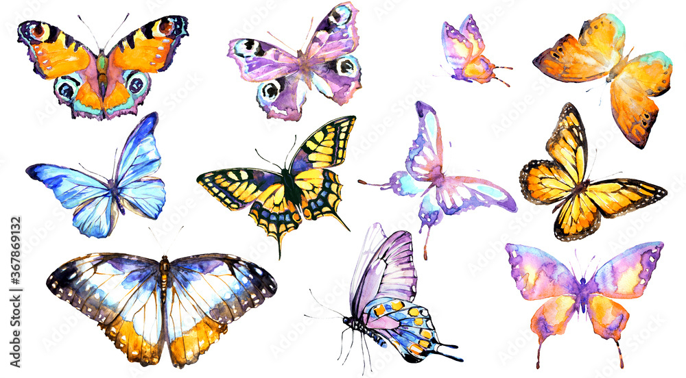beautiful watercolor butterflies, isolated on a white