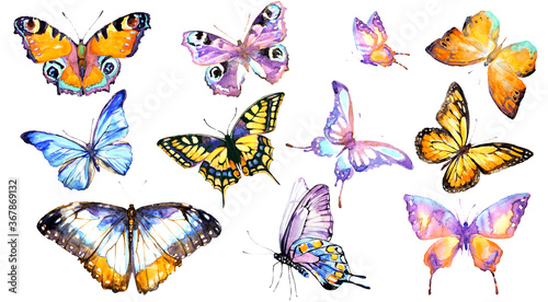 beautiful watercolor butterflies, isolated on a white © aboard
