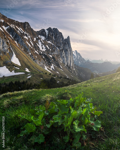 Glarner Alpen