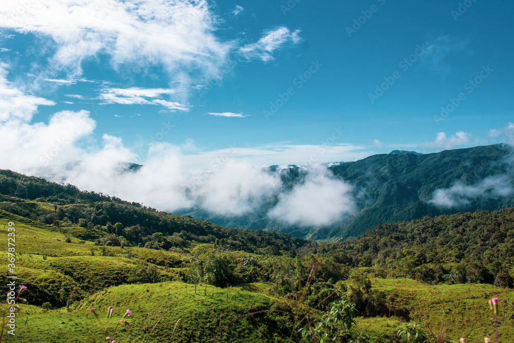 Fototapeta premium Colombian landscapes. Green mountains in Colombia, Latin America