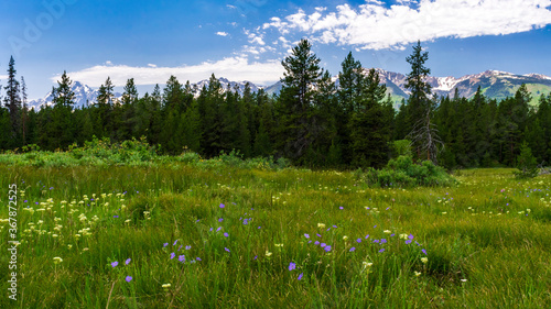 Grand Teton National Park, Wyoming photo
