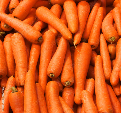carrots in the market