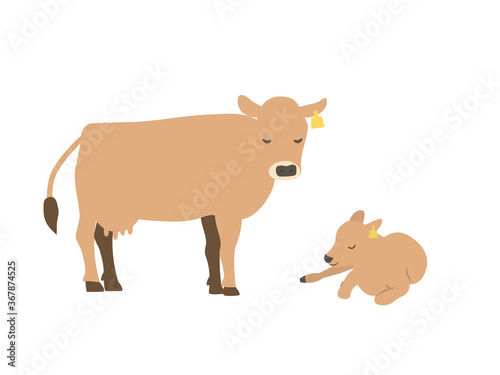 牛の親子のイラスト  ジャージー種