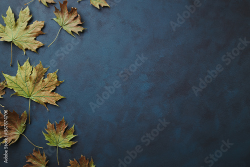 Autumn season abstract background. Fall yellow leaves frame on dark surface. Thanksgiving day, seasonal concept. Copy space.
