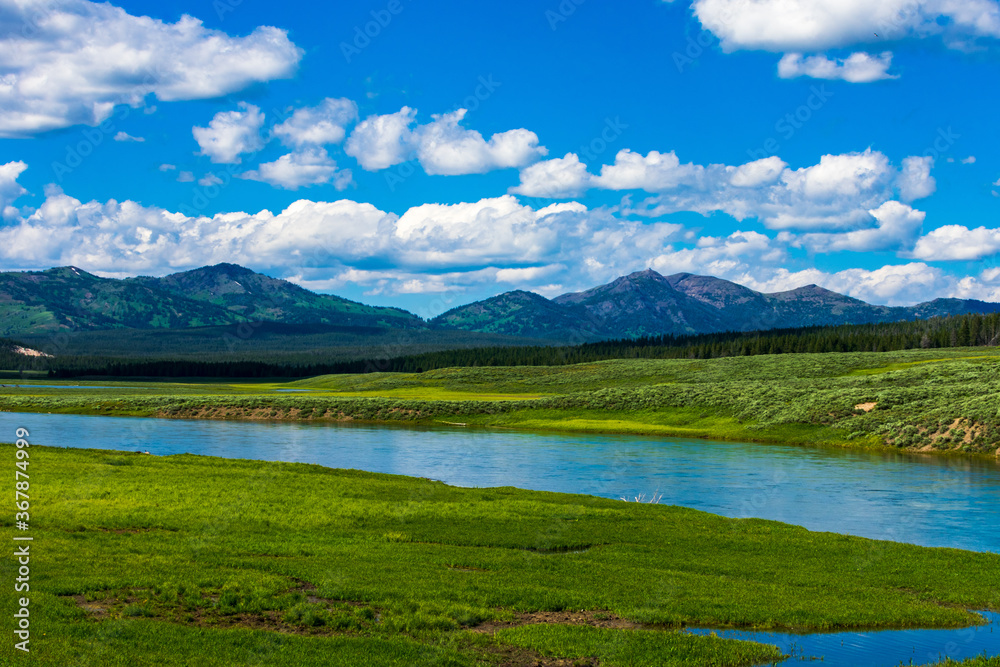 Hayden Valley, Yellowstone National Park