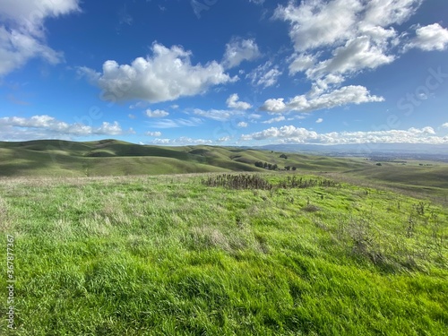 green field and blue sky