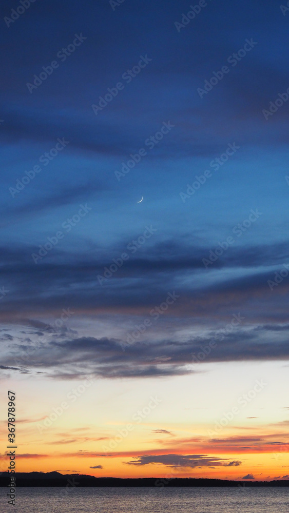 Obraz premium OLYMPUS DIGITAL CAMERA