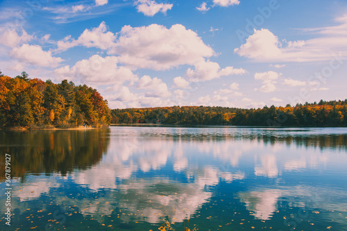 Walden pond fall