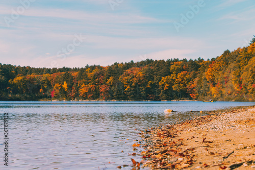 Walden Pond fall