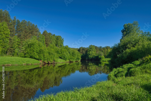 Beautiful summer landscape, forest trees are reflected in calm river water against a background of blue sky.