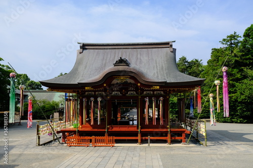 Kamakura Japan -  Shinto shrine Tsurugaoka Hachiman-gu
