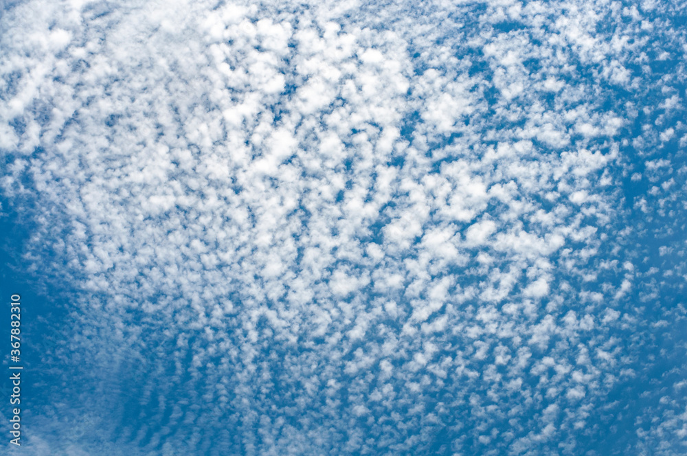 空 青空 空 青空