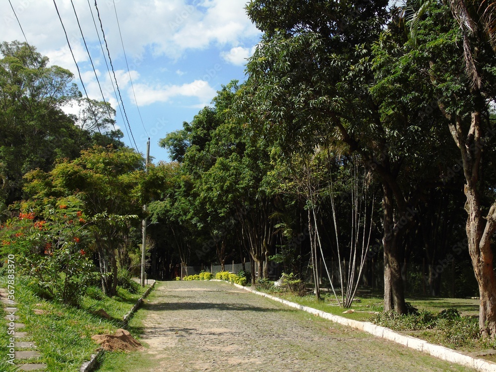 Obraz premium Guilherme Lage 7