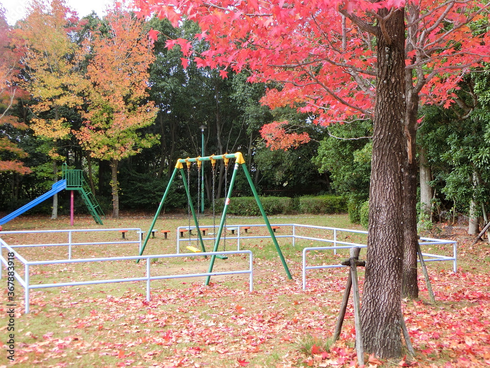 Fototapeta premium 公園のブランコ・すべり台と楓の紅葉【11月】