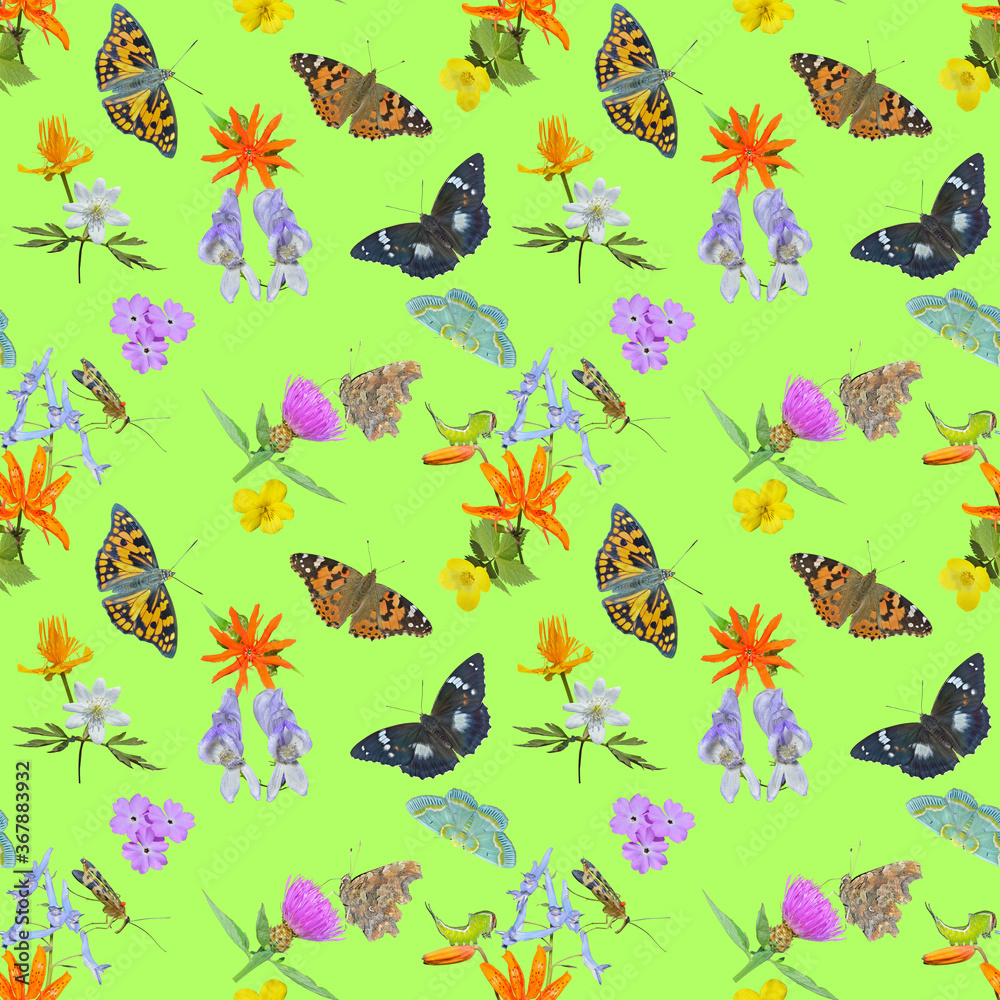 Obraz premium Various butterflies and wildflowers. Seamless pattern.