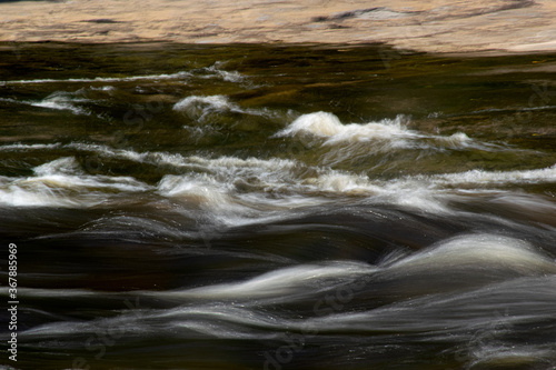 water flowing in the forest