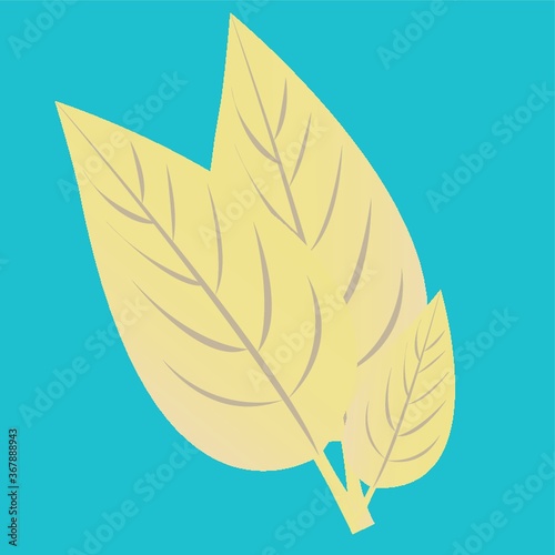 leaves