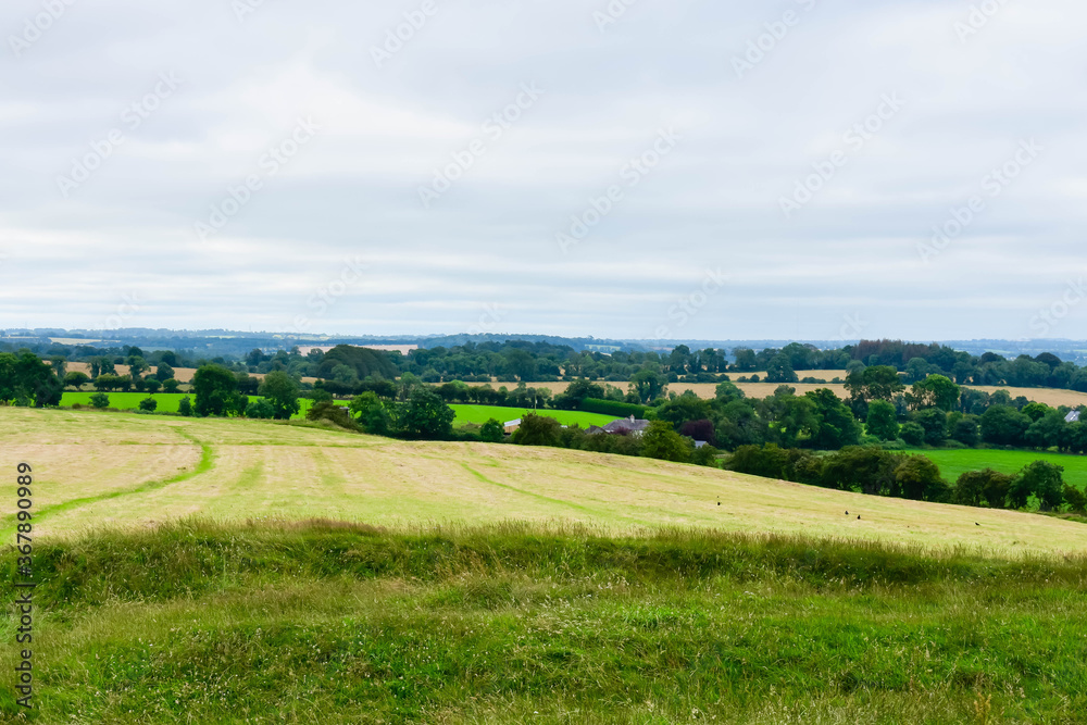 landscape with green field and blue sky