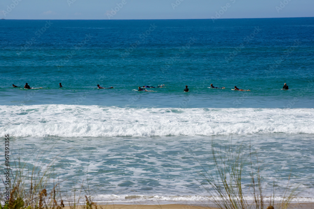 Surfers at Praia do Campeche Florianópolis, Santa Catarina, Brazil.