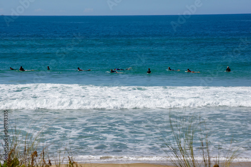 Obraz na płótnie Surfers at Praia do Campeche Florianópolis, Santa Catarina, Brazil. w salonie
