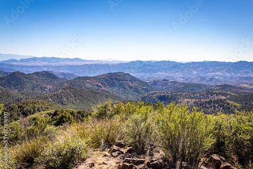 Coronado Trail Scenic Byway View