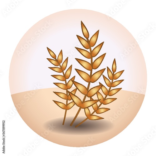wheat