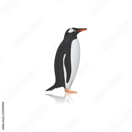 penguin