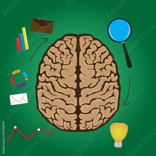 functions of brain concept