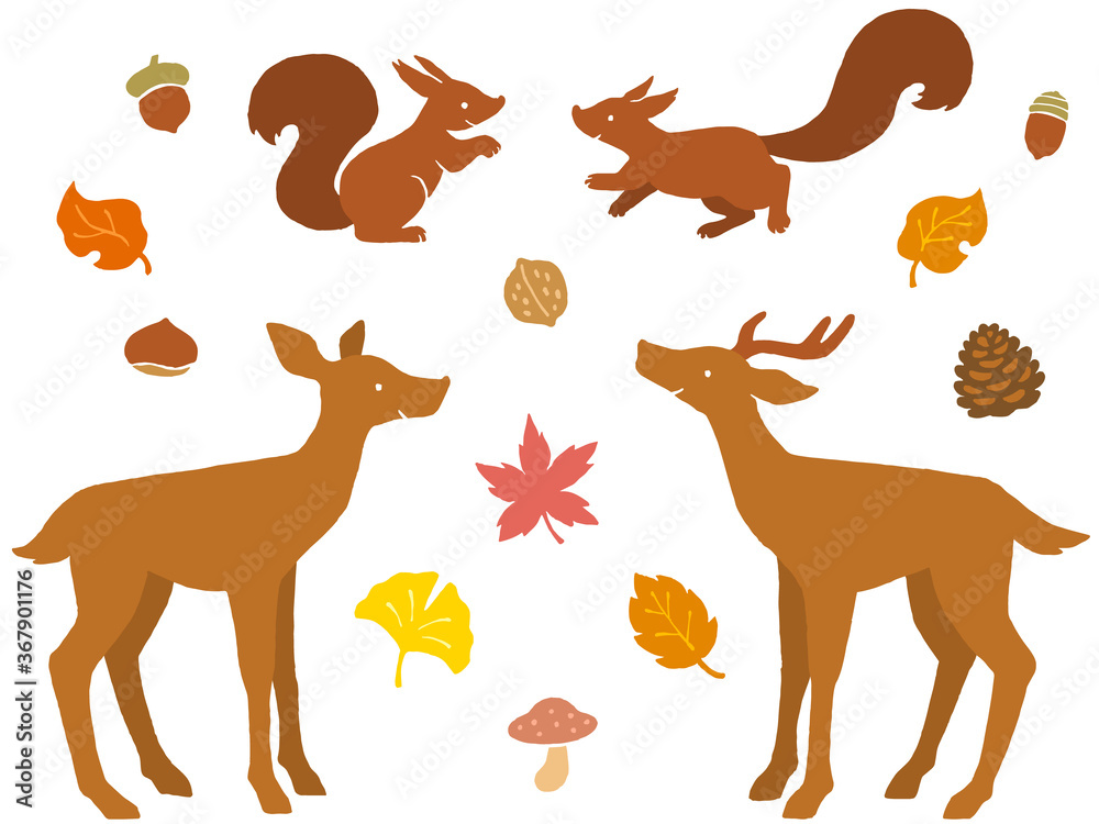 シカとリスのペア・紅葉・木の実の手描きイラストセット シカとリスのペア・紅葉・木の実の手描きイラストセット