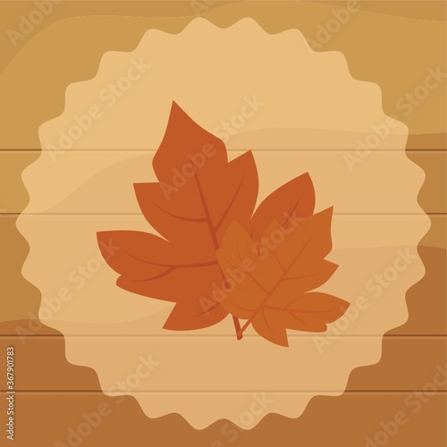 maple leaves