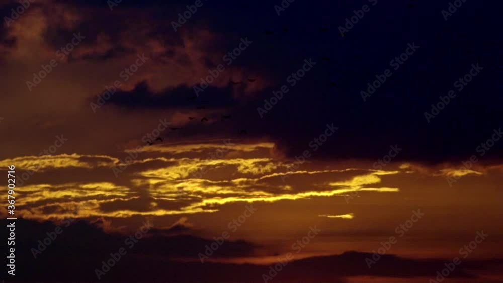 sunset in the community of Salento Colombia where the clouds wrap it around teh sun with its orange yellow and purple colors and a bird passes over the sunlight. sunset in the community of Salento Colombia where the clouds wrap it around teh sun with its orange yellow and purple colors and a bird passes over the sunlight.