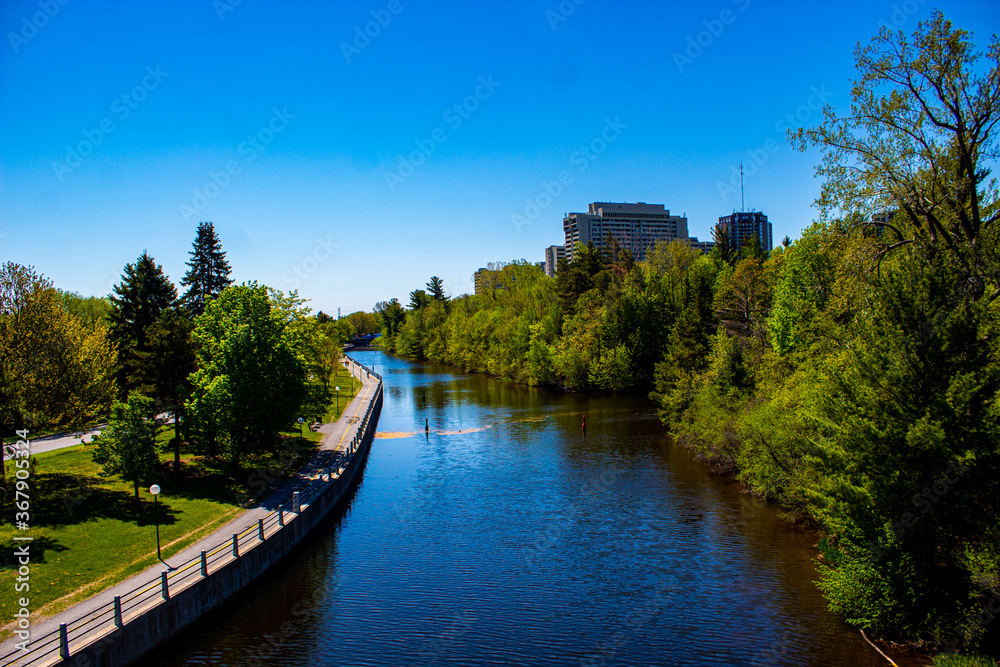 Fototapeta premium river in the park