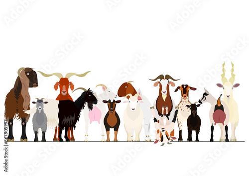 various goats group