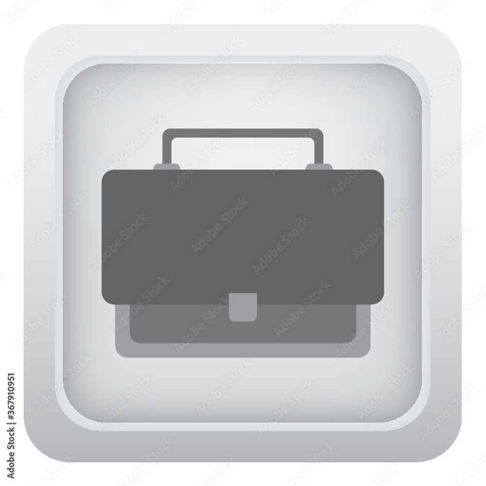 briefcase briefcase