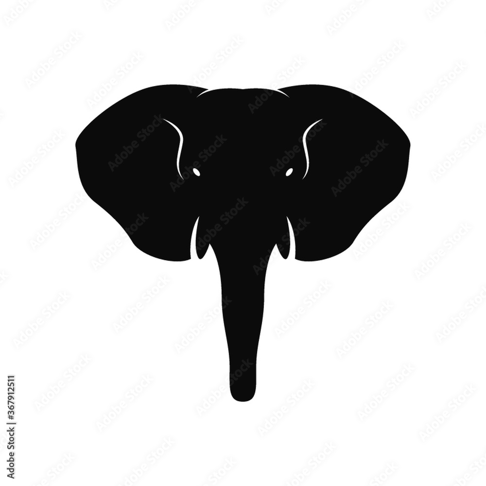Fototapeta premium elephant