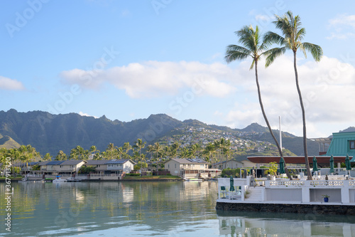view of the harbor of KOKO MARINA
