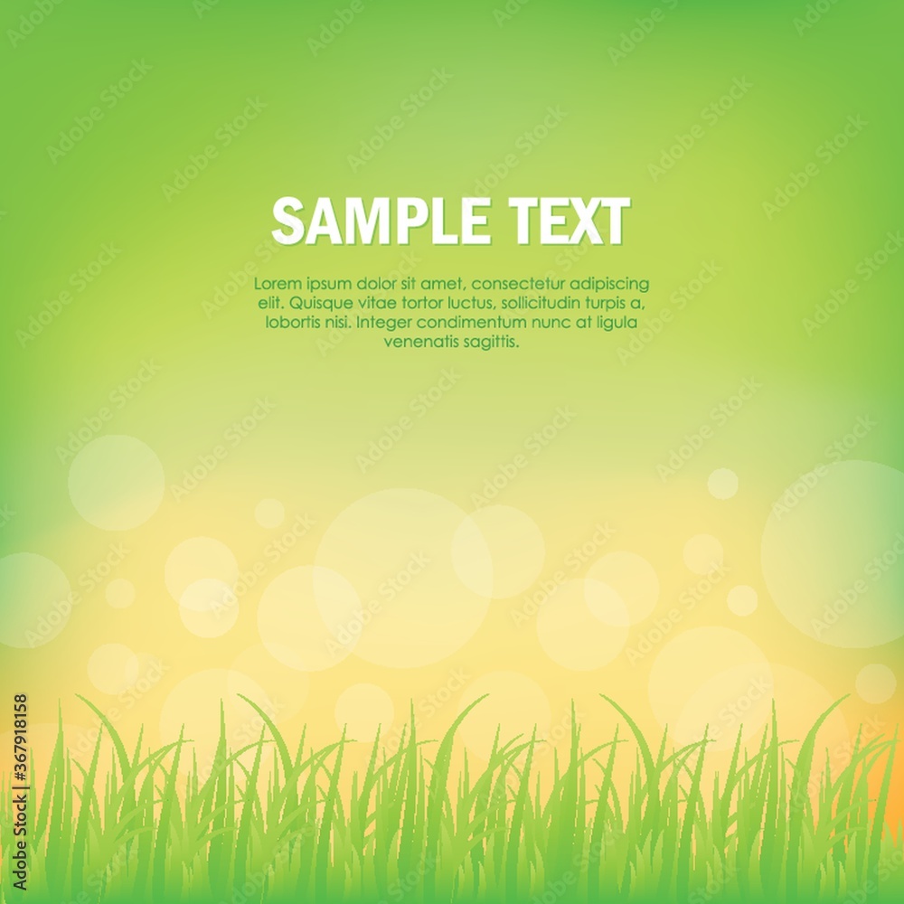 Obraz premium grass background