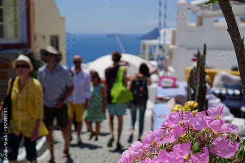 The landscape with beautiful buildings houses in santorini island in Oia, Greece, Europe