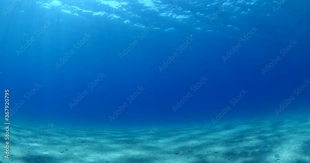 sun shine beams and rays on sea floor underwater slow motion fish around sun shine beams and rays on sea floor underwater slow motion fish around