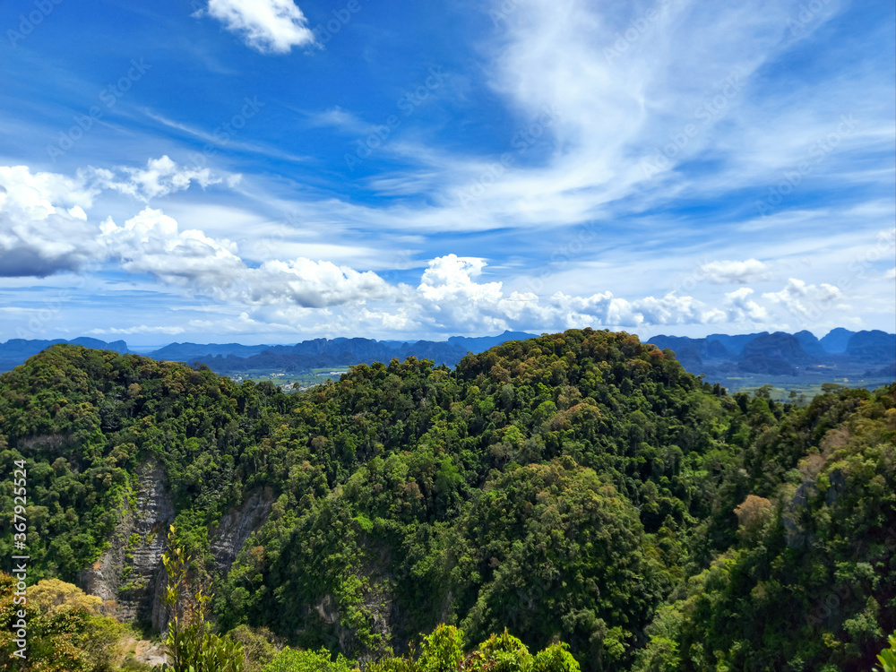 Obraz premium Trees and mountains, the background is sky