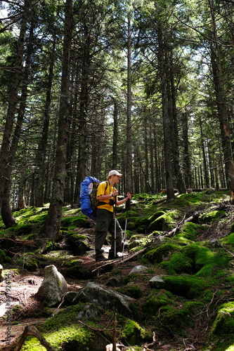 Man walking alone in a forest. Trekking journey and travel concept