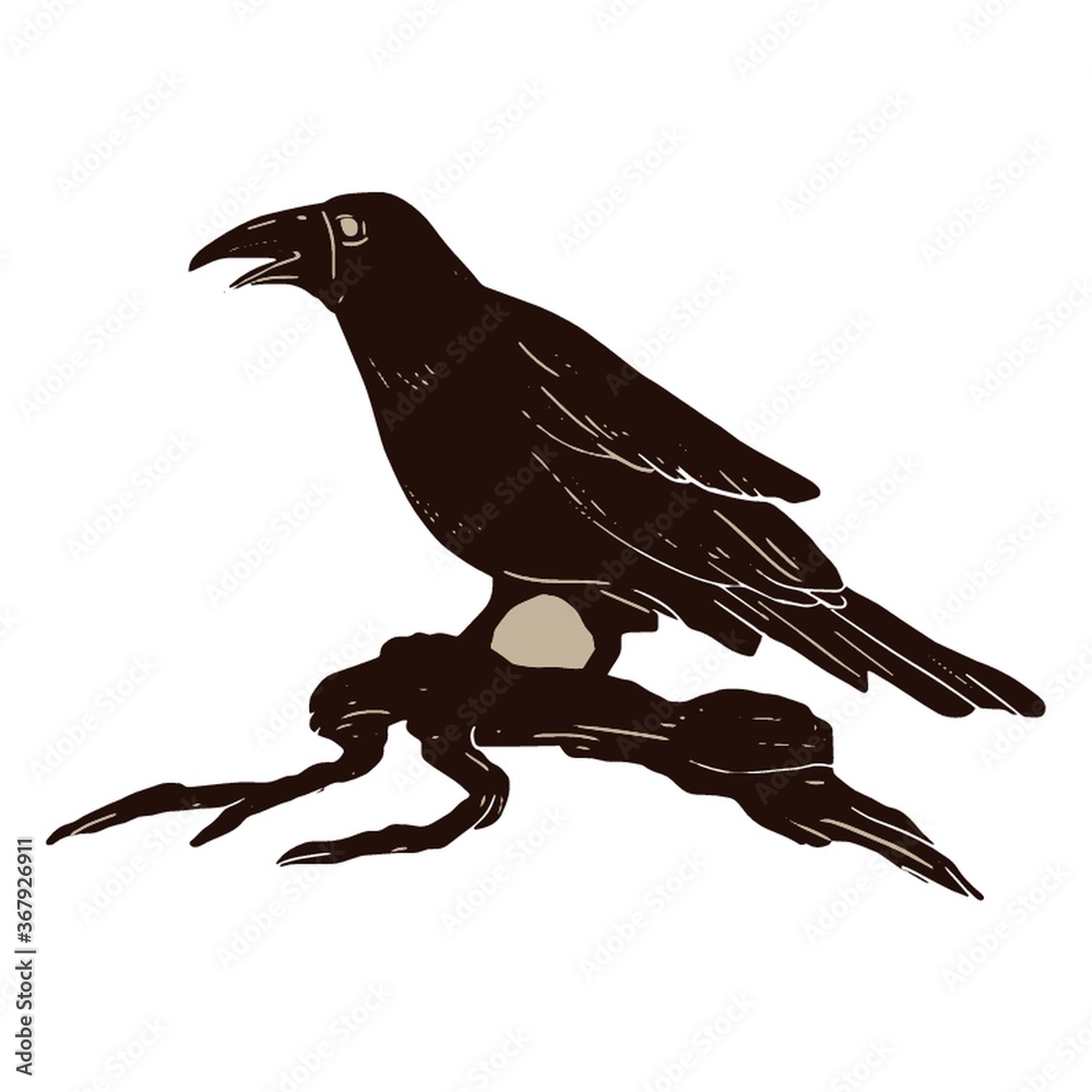 Fototapeta premium crow