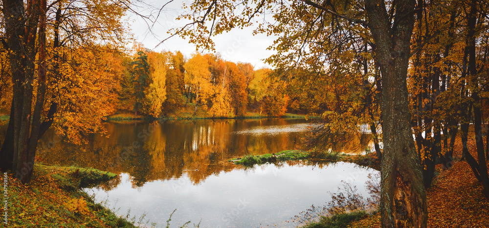 Naklejka premium Late autumn nature landscape.Beautiful scene with forest lake and reflection on water surface.Trees with orange fall foliage.Cloudy autumn rainy morning.Calm weather.October scene.