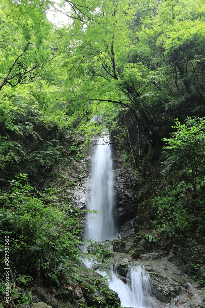 Obraz premium Hossawa Falls in Hinohara village ,japan,tokyo