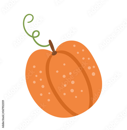 Vector cute pumpkin. Autumn vegetable. Flat style orange squash. Funny veggie illustration isolated on white background. Traditional thanksgiving food.