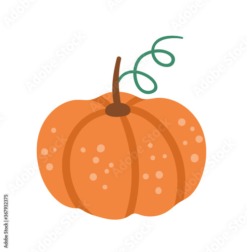 Vector cute pumpkin. Autumn vegetable. Flat style orange squash. Funny veggie illustration isolated on white background. Traditional thanksgiving food.