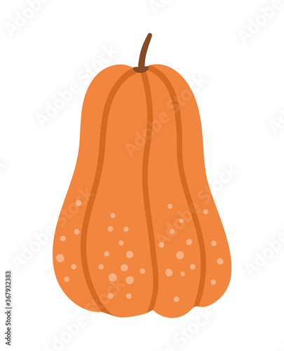 Vector cute pumpkin. Autumn vegetable. Flat style orange squash. Funny veggie illustration isolated on white background. Traditional thanksgiving food.